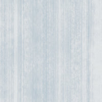 Dry Brush Linen