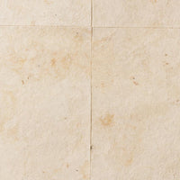 Birch Bark