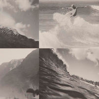 The Reef