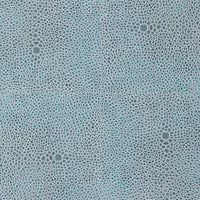 Shagreen