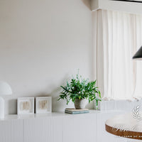 CHALK WHITE