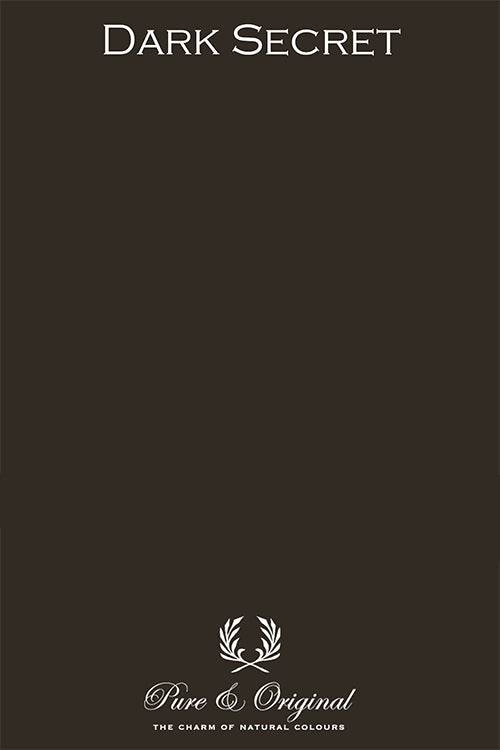 DARK SECRET