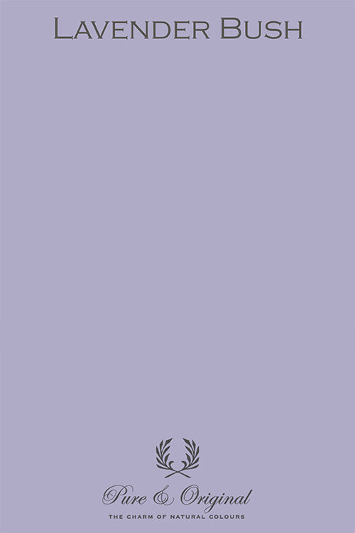 LAVENDER BUSH
