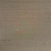 Sugi Collection