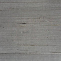 Sugi Collection